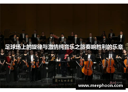 足球场上的旋律与激情纯音乐之旅奏响胜利的乐章