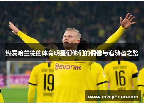 热爱哈兰德的体育明星们他们的偶像与追随者之路