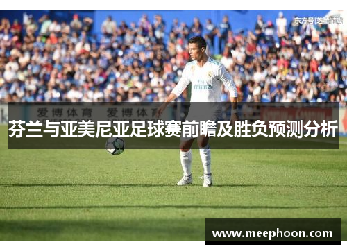芬兰与亚美尼亚足球赛前瞻及胜负预测分析